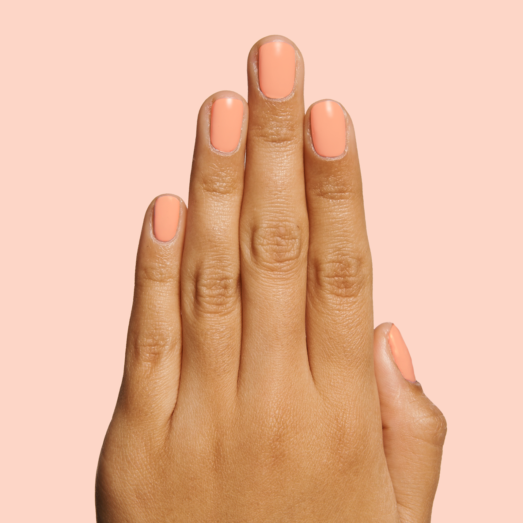 Wild & Free - Image 4