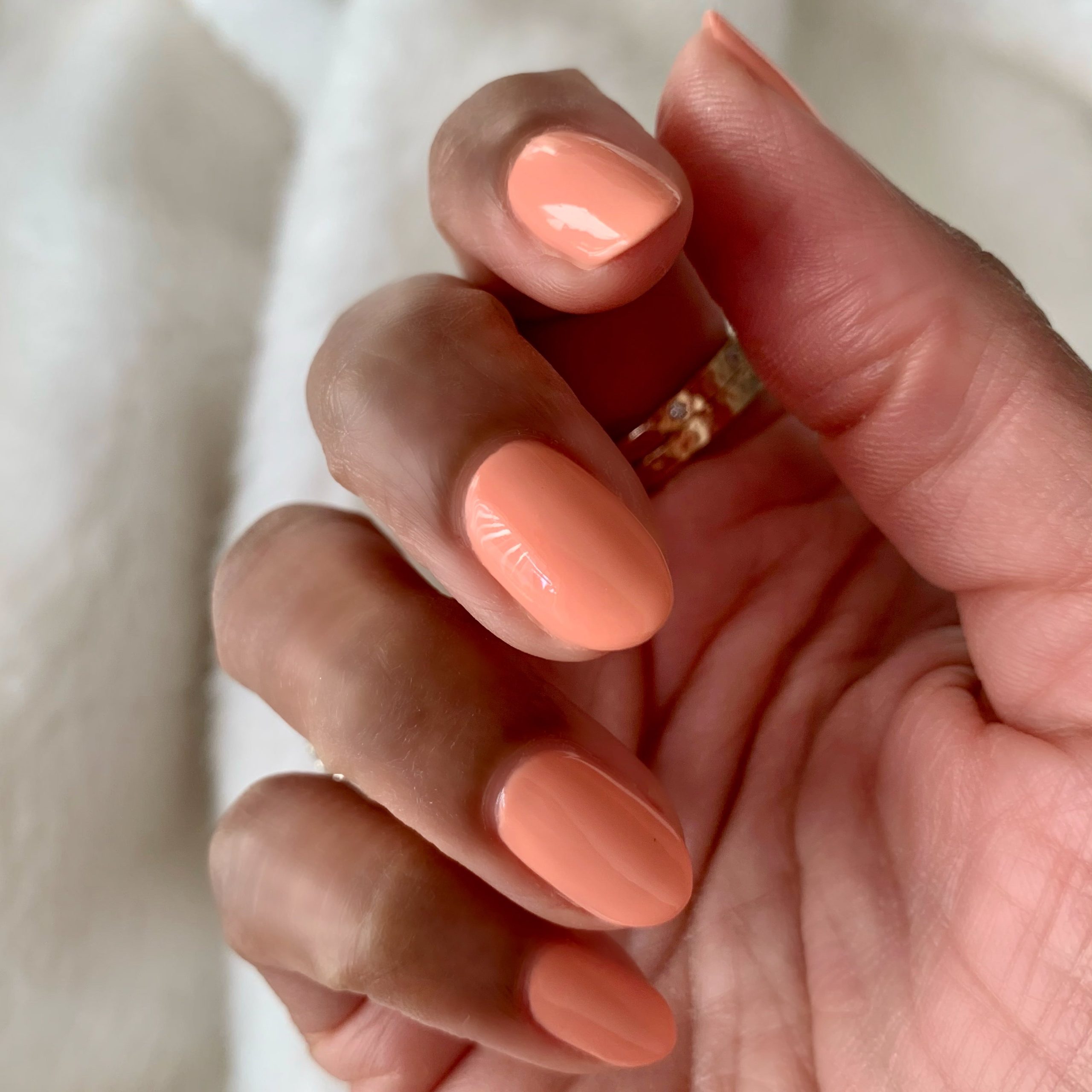 Wild & Free - Image 11