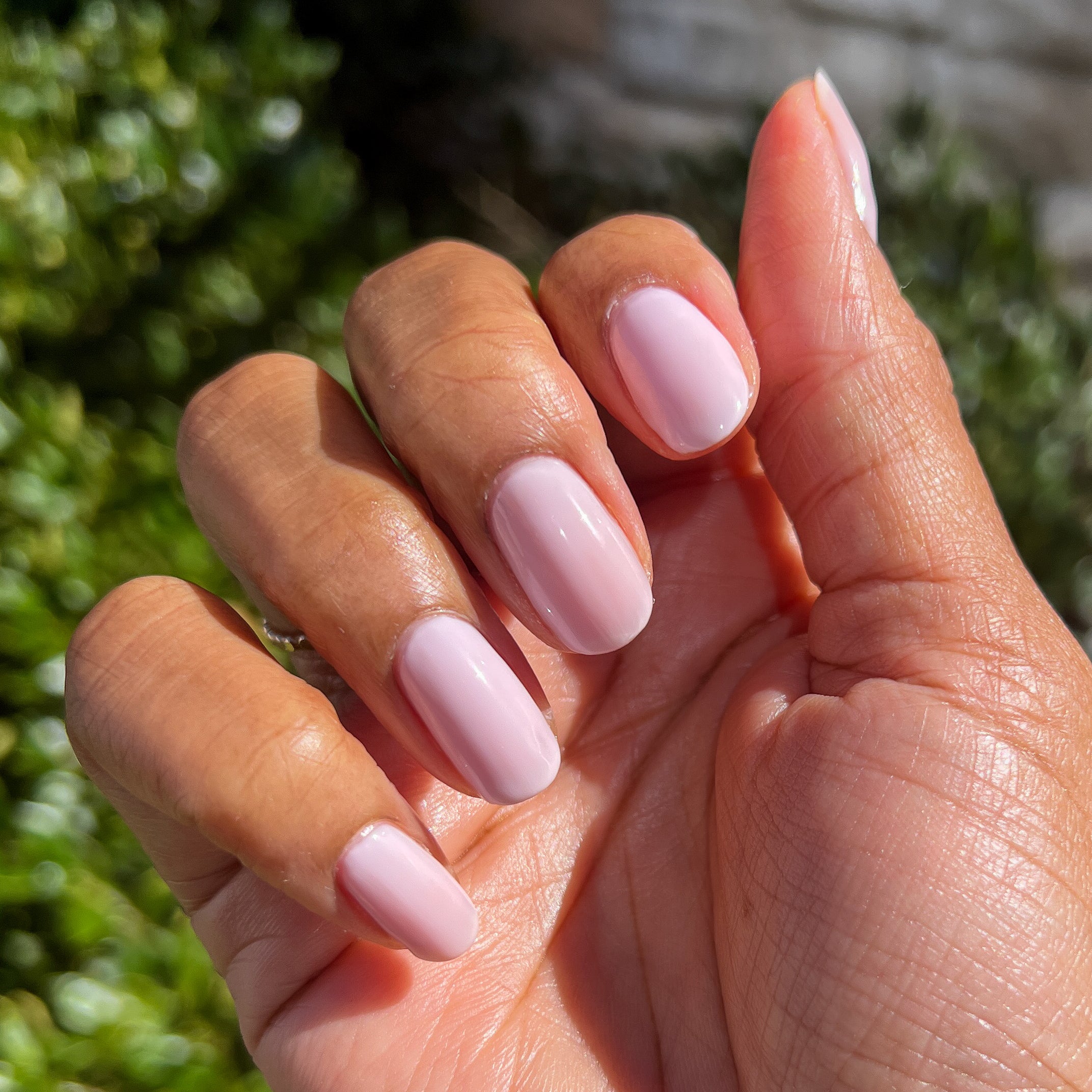 Strawberry Scone - Image 11