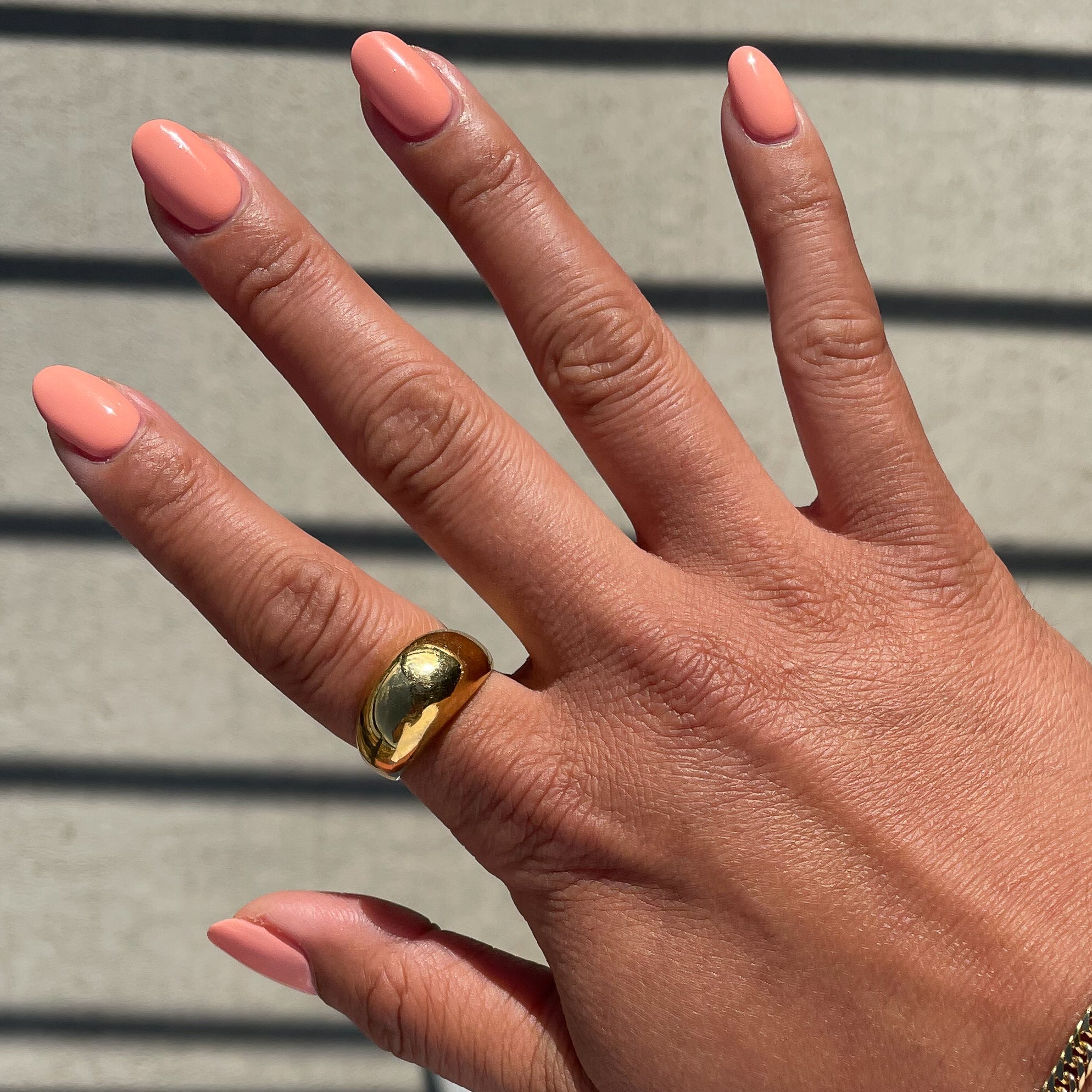 Wild & Free - Image 12