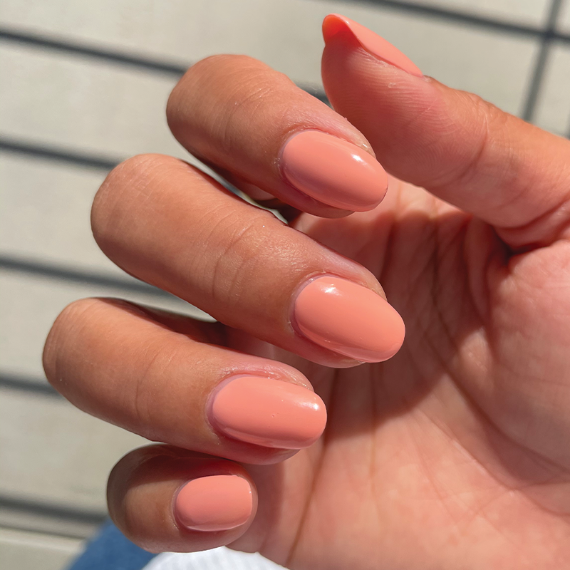 Wild & Free - Image 14