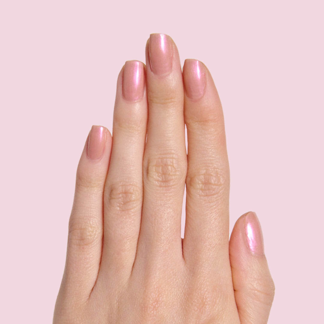 Sandy Scallop - Image 3